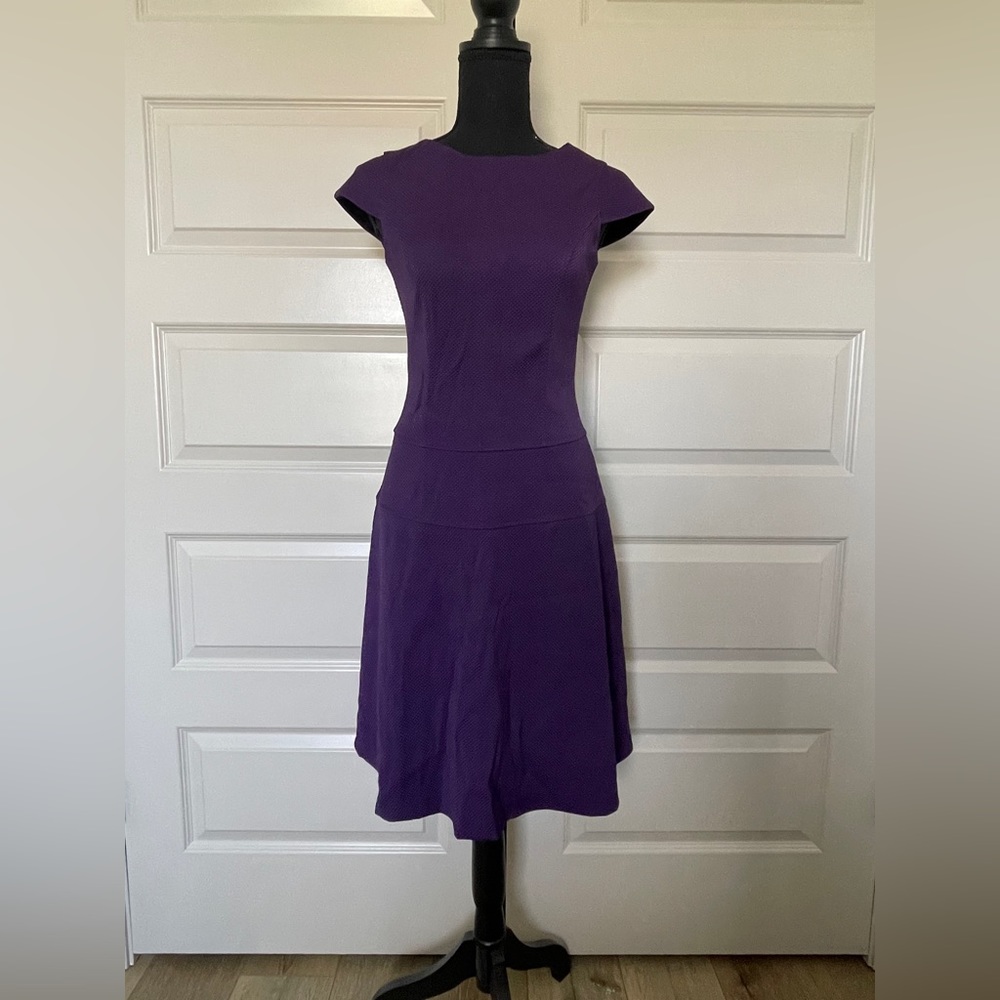 Lark & Ro Women's Short Sleeve Crew Neck Purple Dress Size 2